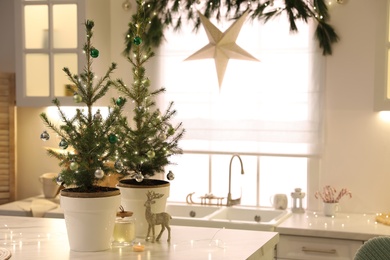 Small Christmas trees decorated with baubles and festive lights in kitchen