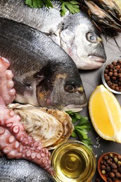 Photo of Flat lay composition with fresh raw dorado fish and different seafood on black table