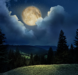 Beautiful landscape with full moon in night sky