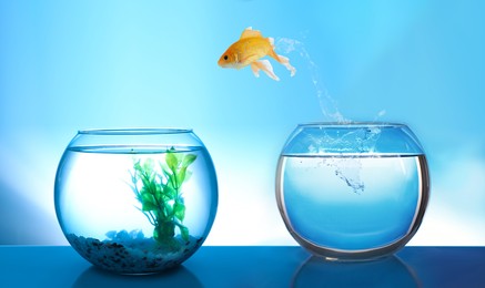 Image of Goldfish jumping from glass fish bowl into another one on blue background