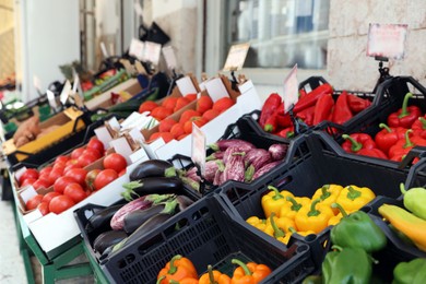 Photo of Tables with variety of fresh ripe vegetables in wholesale market