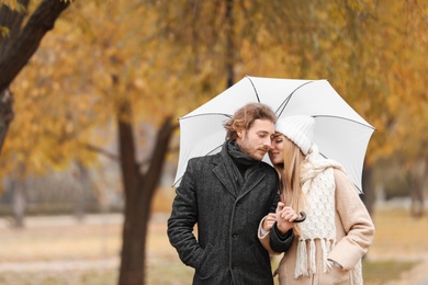 Young romantic couple with umbrella in park on autumn day