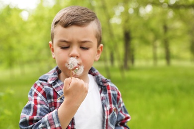 Healthy little boy blowing on dandelions outdoors, space for text. Allergy free concept