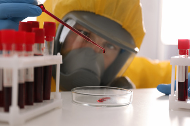Scientist in chemical protective suit dripping blood  into Petri dish at table, closeup. Virus research