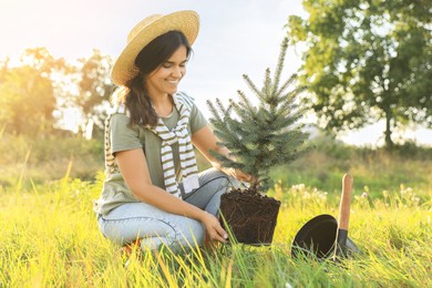 Photo of Young woman planting conifer tree in meadow on sunny day