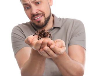 Photo of Scared man holding tarantula on white background. Arachnophobia (fear of spiders)