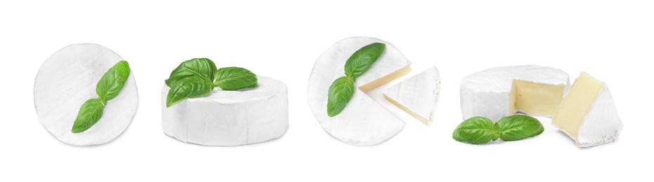 Set with tasty brie cheese and basil on white background. Banner design
