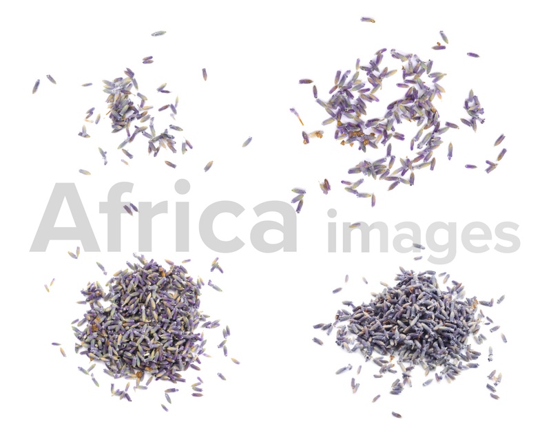 Set with heaps of lavender flowers on white background
