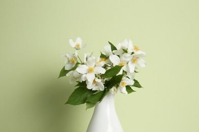 Photo of Bouquet of beautiful jasmine flowers on light green background, closeup