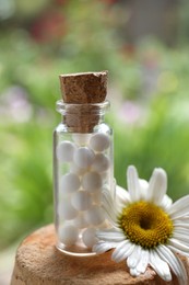Bottle of homeopathic remedy and beautiful chamomile flower on blurred background