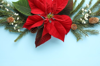 Flat lay composition with beautiful poinsettia on light cyan background, space for text. Christmas traditional flower