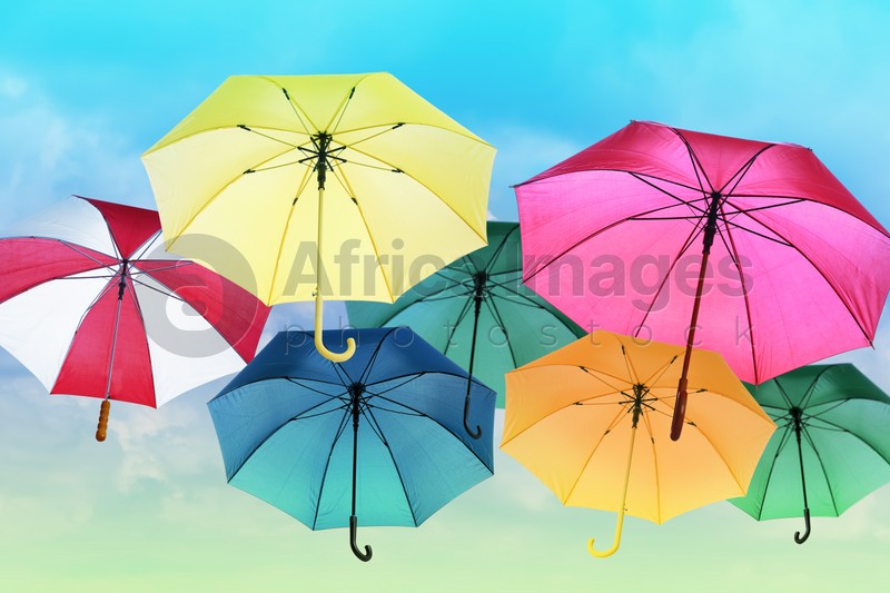 Group of different colorful umbrellas against blue sky on sunny day