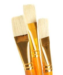 Set of paintbrushes on white background. Art supplies