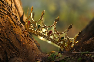 Beautiful golden crown near wood outdoors, closeup. Fantasy item