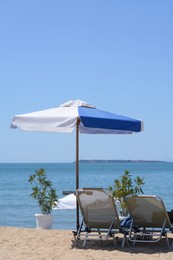 Blue and white beach umbrella near sunbeds at tropical resort
