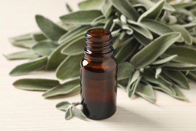Bottle of essential sage oil and leaves on white wooden table