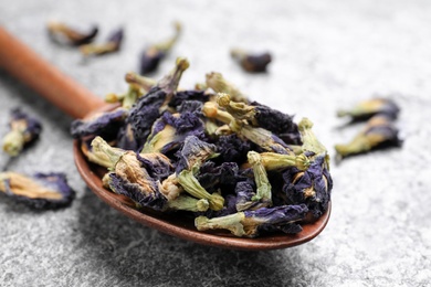 Spoon with dry organic blue Anchan on grey table, closeup. Herbal tea