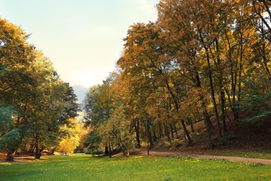 Pathway, green grass and trees in beautiful park on autumn day
