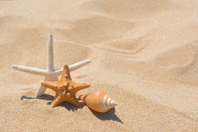 Beautiful starfishes and sea shell on sandy beach, space for text