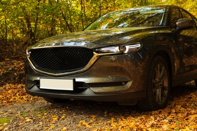 Photo of Black modern car parked in beautiful autumn forest