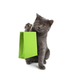 Adorable grey British Shorthair cat holding green paper shopping bag on white background
