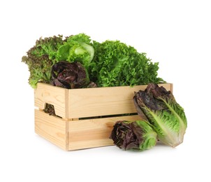 Wooden crate and different sorts of lettuce on white background