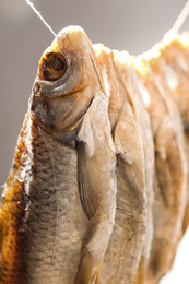 Dried fish hanging on rope, closeup view