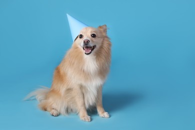 Photo of Cute dog with party hat on light blue background, space for text. Birthday celebration