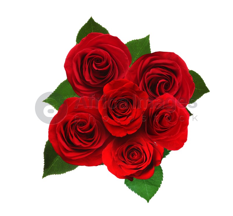 Beautiful bouquet with red roses on white background