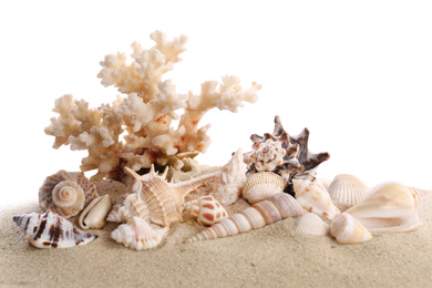 Beautiful exotic sea shells, coral and sand on white background