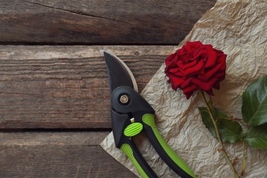 Photo of Secateurs and rose on wooden table, flat lay