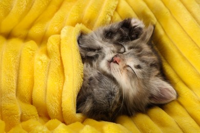 Cute kitten sleeping in soft yellow blanket, above view