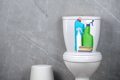 Photo of Cleaning supplies on toilet bowl in bathroom, space for text
