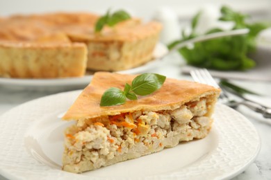 Piece of delicious pie with meat and basil in plate, closeup