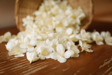 Beautiful white jasmine flowers on wooden table, closeup