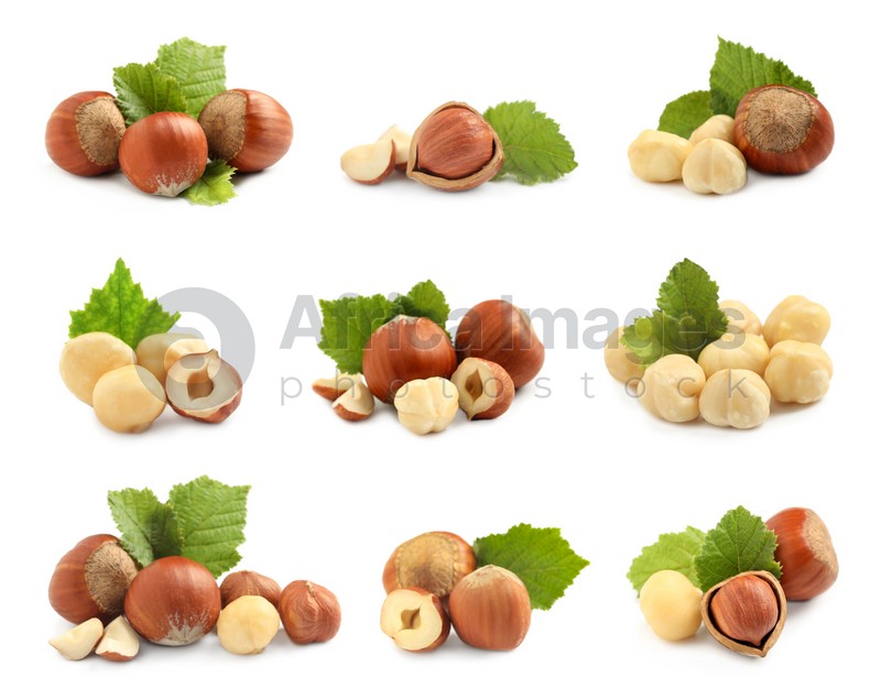 Set with tasty hazelnuts on white background 