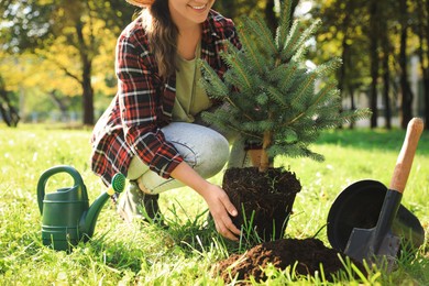 Photo of Woman planting conifer tree in park on sunny day, closeup