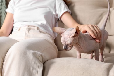 Woman stroking cute Sphynx cat on sofa at home, closeup. Lovely pet