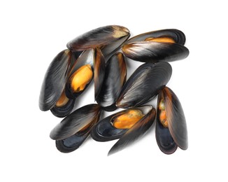 Delicious cooked mussels in shells on white background, top view