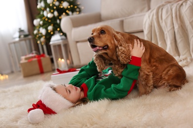 Cute little girl in Christmas outfit with English Cocker Spaniel at home