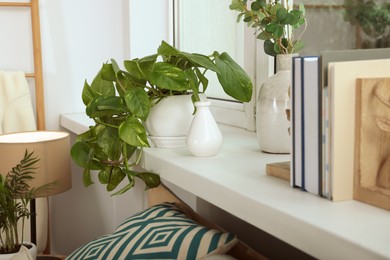 Beautiful house plants and books on windowsill indoors. Home design idea