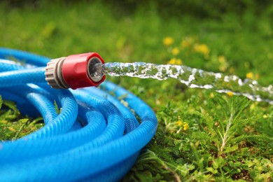 Photo of Water flowing from hose on green grass outdoors, closeup