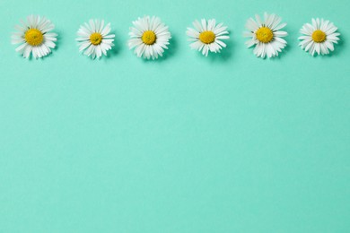 Beautiful tender daisy flowers on turquoise background, flat lay. Space for text