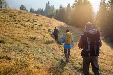 Photo of Tourists with backpacks hiking in mountains on sunny day, back view