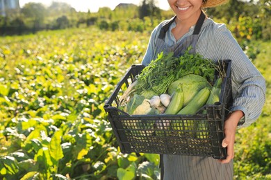 Photo of Woman with crate of different fresh ripe vegetables on farm, closeup. Space for text