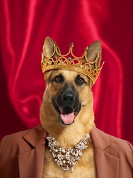 German shepherd dog dressed like royal person against red background