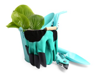 Gardening gloves, tools and plant on white background