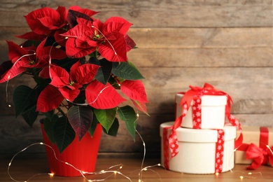 Poinsettia (traditional Christmas flower), string lights and gift boxes on wooden table