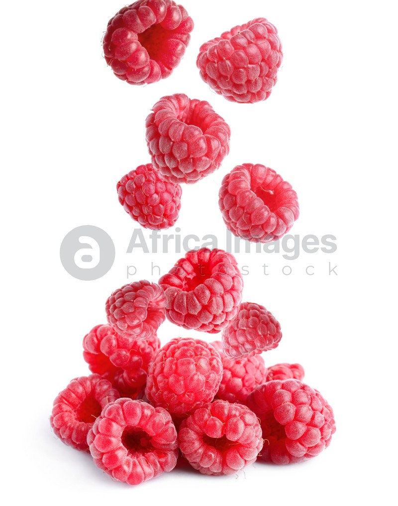 Delicious ripe raspberries falling on white background