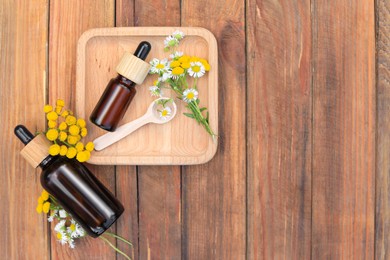Bottles of chamomile essential oil and flowers on wooden table, flat lay. Space for text